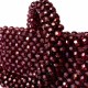 Glera Barolo